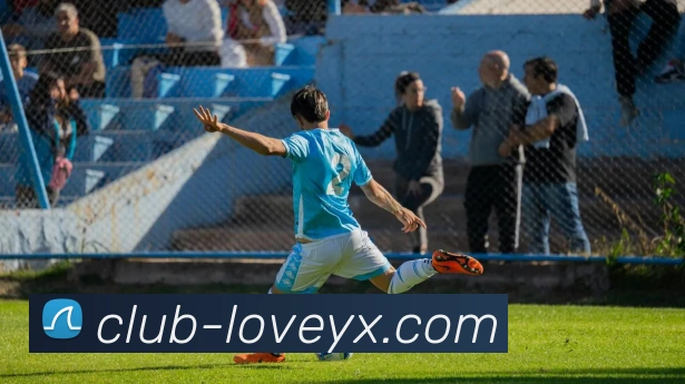 爱游戏平台生态图